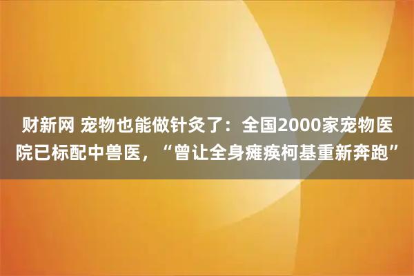 财新网 宠物也能做针灸了:全国2000家宠物医院已标配中兽医,“曾让全身瘫痪柯基重新奔跑”
