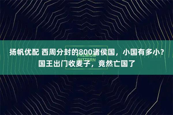 扬帆优配 西周分封的800诸侯国，小国有多小？国王出门收麦子，竟然亡国了