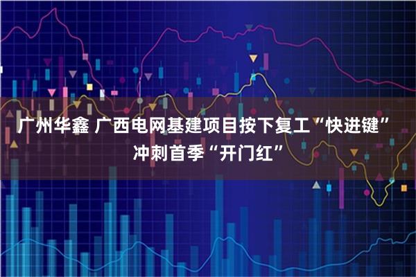 广州华鑫 广西电网基建项目按下复工“快进键” 冲刺首季“开门红”