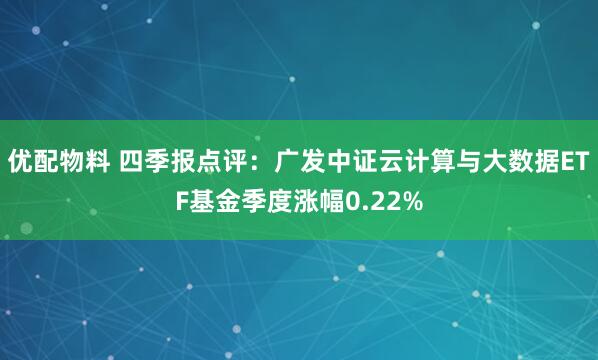 优配物料 四季报点评：广发中证云计算与大数据ETF基金季度涨幅0.22%
